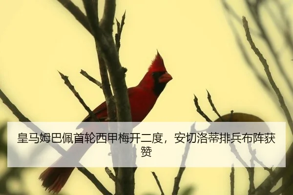 huang-ma-mu-ba-pei-shou-lun-xi-jia-mei-kai-er-du-an-qie-luo-di-pai-bing-bu-zhen-huo-zan-2-597.jpg