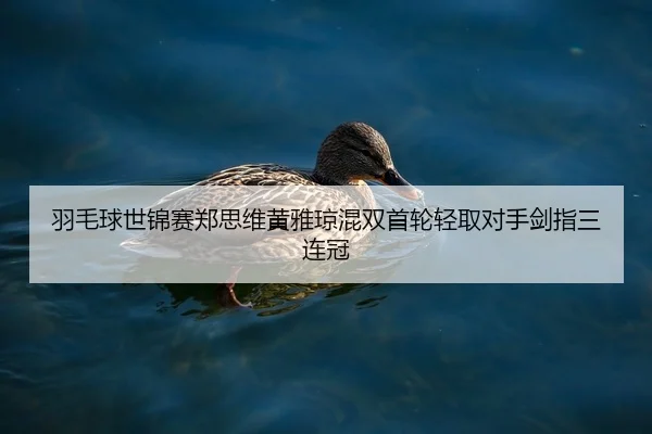 yu-mao-qiu-shi-jin-sai-zheng-si-wei-huang-ya-qiong-hun-shuang-shou-lun-qing-qu-dui-shou-jian-zhi-san-lian-guan-2-955.jpg