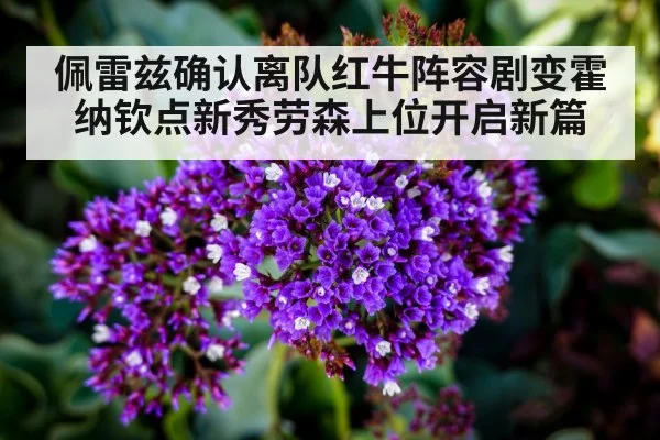 佩雷兹确认离队红牛阵容剧变霍纳钦点新秀劳森上位开启新篇